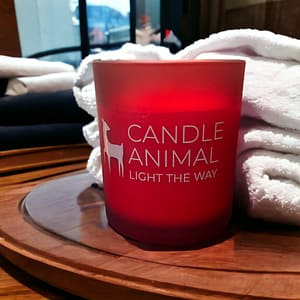 Winter Orchard, 8 oz. Soy Candle