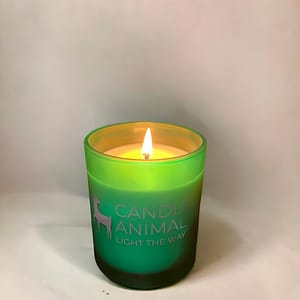 Tomato Leaf, 8 oz. Soy Candle