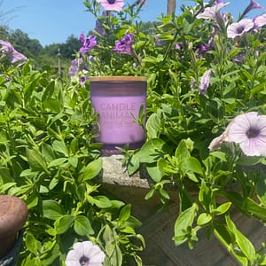 White Sage + Lavender, 8 oz. Soy Candle