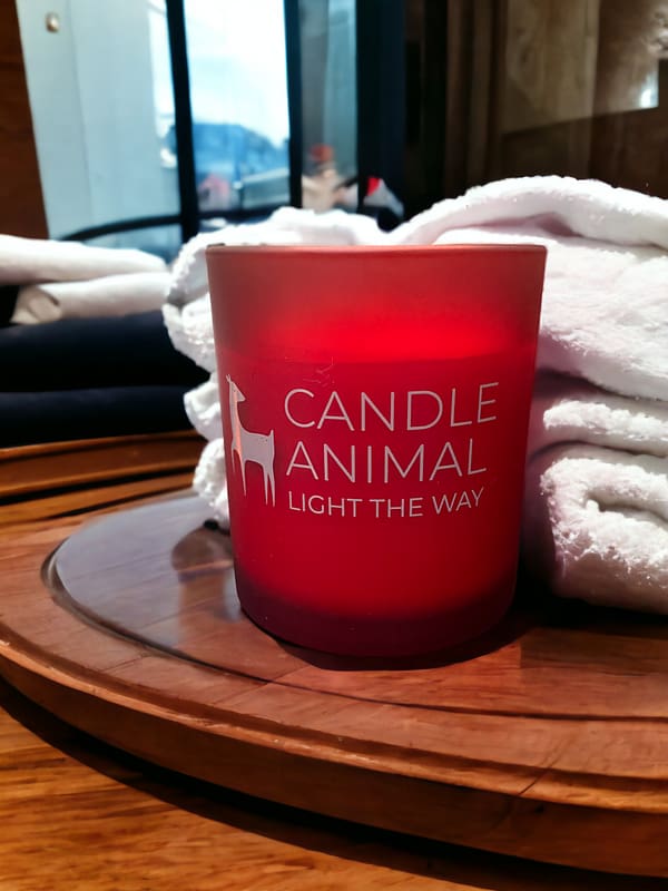 Winter Orchard, 8 oz. Soy Candle