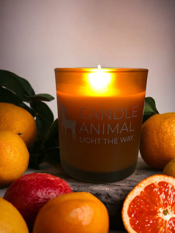 Blood Orange Crema Catalana, 8 oz. - Image 3
