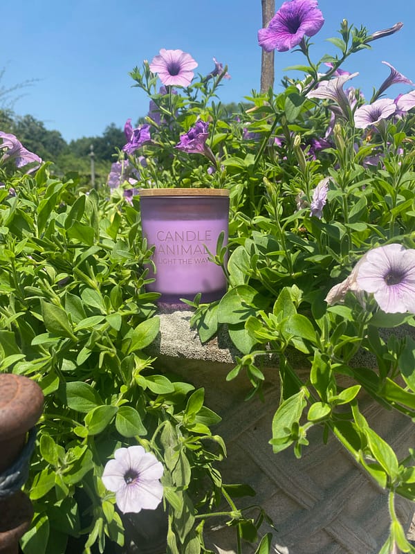 White Sage + Lavender, 8 oz. Soy Candle