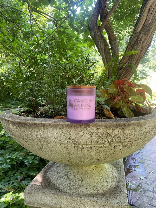 White Sage + Lavender, 8 oz. Soy Candle - Image 4