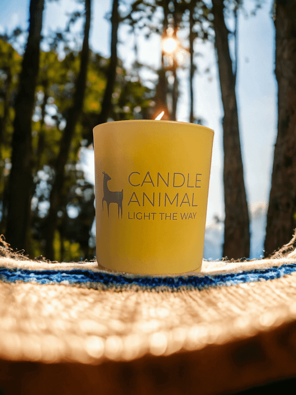 Endless Summer, 8 oz. - Image 4