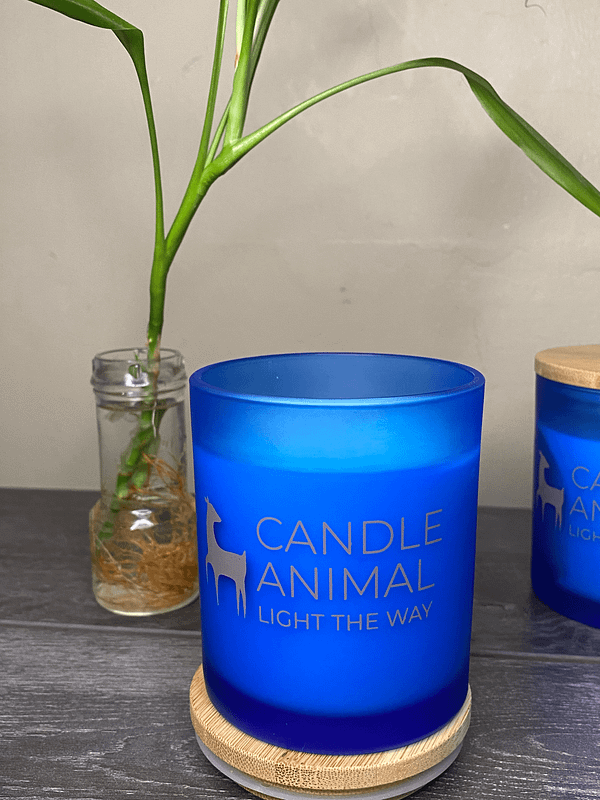 Guardian's Essence, 8 oz. Soy Candle